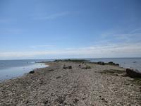 066 Matsalu Nationalpark