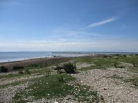 067 Matsalu Nationalpark