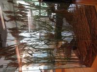 070 Matsalu Nationalpark Infozentrum