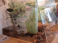 071 Matsalu Nationalpark Infozentrum