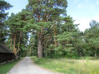 117 Fahhradtour Kihnu