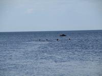 143 Fahhradtour Kihnu Leuchtturm Baden