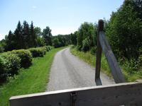 146 Fahhradtour Kihnu Leuchtturm Fahrt mit offenem LKW
