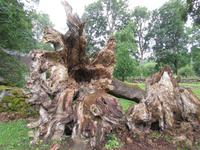 150 Katharinenkirche Insel Muhu