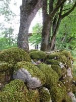 156 Muhu Museumsdorf