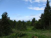 162 Muhu Museumsdorf