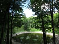 168 Meteoritenkrater von Kaali
