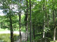 169 Meteoritenkrater von Kaali