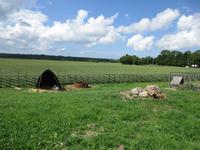 176 Windmühlen von Alga