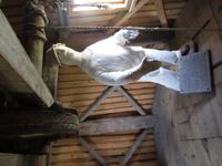 182 Windmühlen von Alga