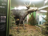 202 Kuresaare Bischofsburg