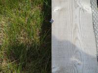 275 Moorwanderung Soomaa