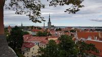 Estland, Tallinn, Aussichtspunkt mit Blick zur Olaikirche