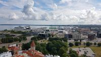 Estland, Tallinn, Blick vom Olaikirchturm