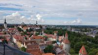 Estland, Tallinn, Blick vom Olaikirchturm