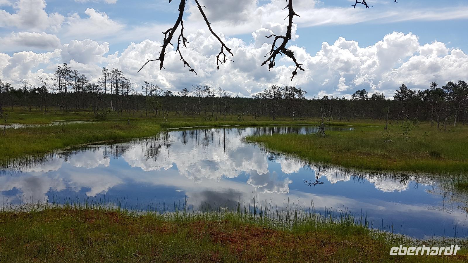 Estland, Lahemaa Nationalpark, Moorwanderung