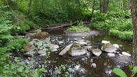 Estland, Lahemaa Nationalpark, Biberpfad