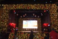 Weihnachten in Estland - Tallinn, Weihnachtsmarkt 