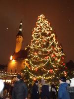 Weihnachten in Estland - Tallinn, Weihnachtsmarkt 