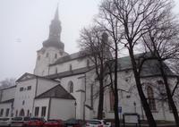 Weihnachten in Estland - Tallinn, Dom
