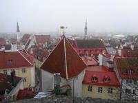 Weihnachten in Estland - Tallinn, Blick über die Altstadt