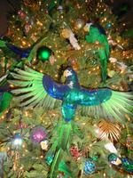 Weihnachten in Estland - Tallinn, Weihnachtsbaum