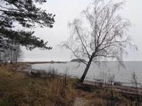 Weihnachten in Estland - Strand bei Käsmu