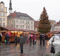 Weihnachten in Estland - Tallinn, Weihnachtsmarkt 
