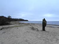 Weihnachten in Estland - Strand westlich von Tallinn