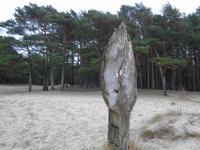 Weihnachten in Estland - Strand westlich von Tallinn