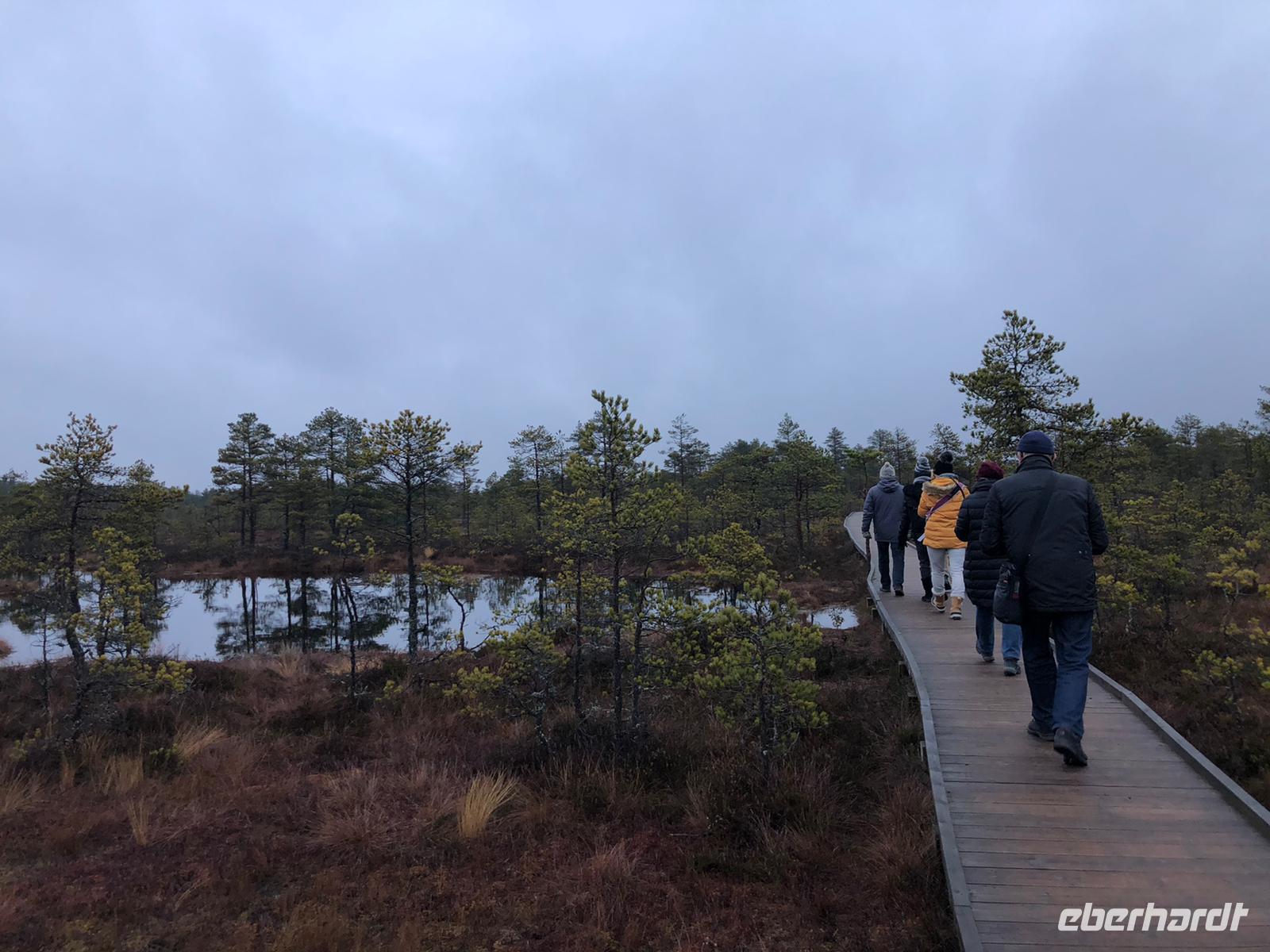 Weihnachten in Estland - Spaziergang im Lahemaa-Nationalpark 