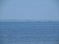 220 Meeresbucht