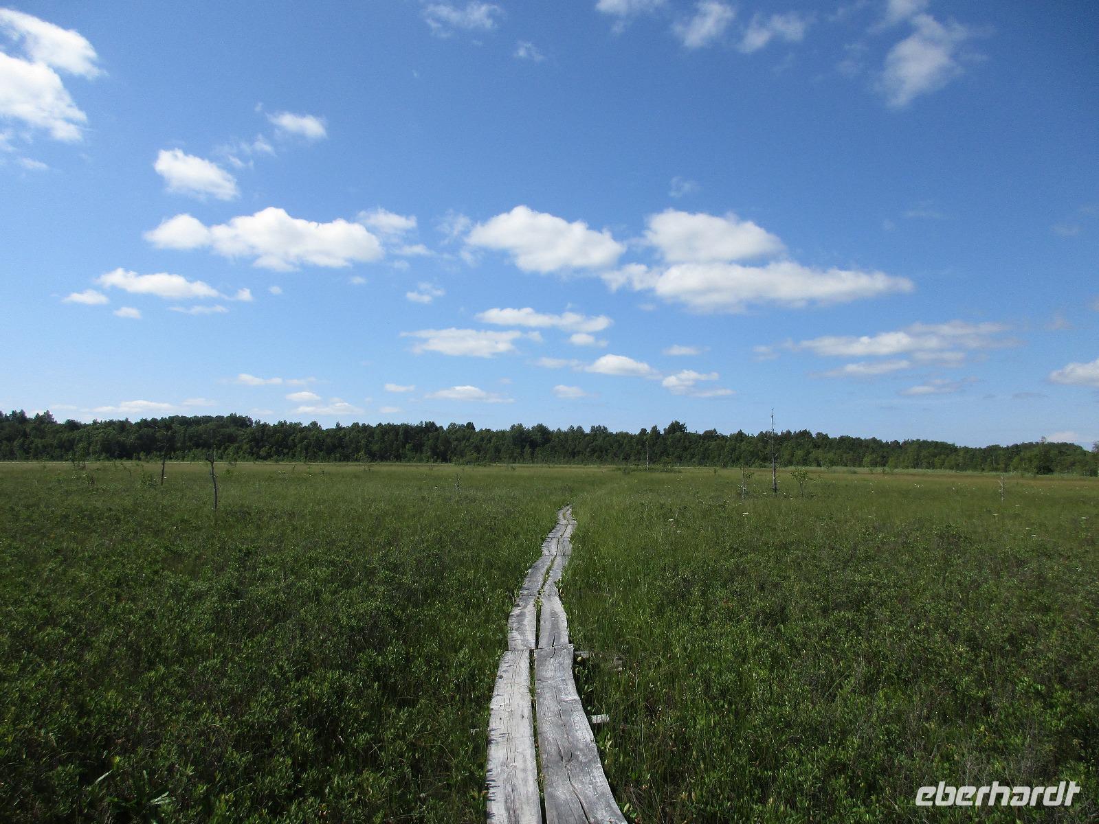229 Moorwanderung