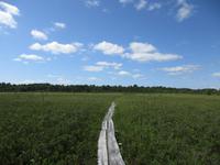 229 Moorwanderung