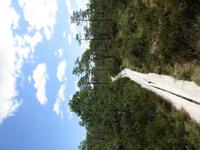 236Moorwanderung