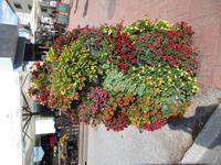 256 Pärnu