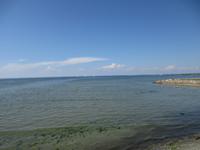 341 Tallinn