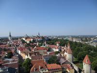 343 Tallinn