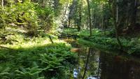 Estland, Lahemaa Nationalpark, Altja