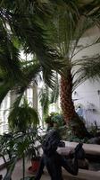 Estland, Lahemaa Nationalpark, Gutshof Palmse, Orangerie