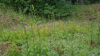Estland, Lahemaa Nationalpark, Gutshof Palmse
