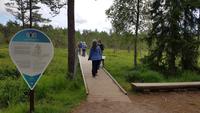 Estland, Lahemaa Nationalpark, Moorwanderung