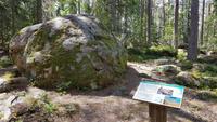 Estland, Lahemaa Nationalpark, steinreicher Wald bei Käsmu