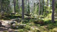 Estland, Lahemaa Nationalpark