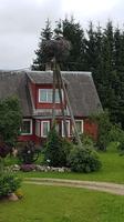 Estland, Storchennest