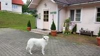 Estland, Vaskna Tourist Farm