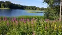 Estland, Vaskna Tourist Farm