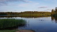 Estland, Vaskna Tourist Farm