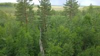 Estland, Weg ins Mennikunno Hochmoor