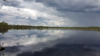 Estland,See im Mennikunno Hochmoor